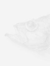fisch.jpg